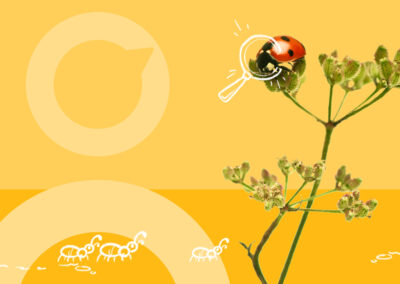 Видео для ознакомительного курса